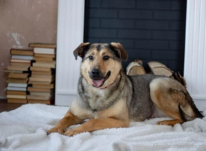 Wunderschöne Musya wartet auf dich Bild 4