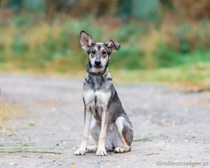 Lucy sucht noch ihr glück Bild 3