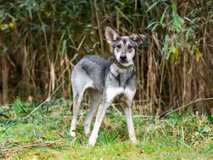 Lucy sucht noch ihr glück Bild 5