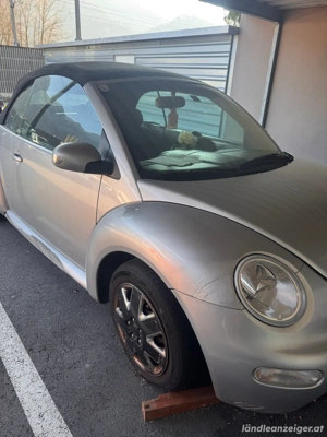 VW beetle cabrio  Bild 3