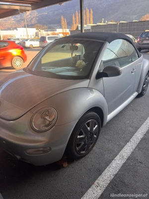 VW beetle cabrio  Bild 4
