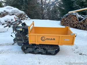 Lumag Raupendumper Bild 2