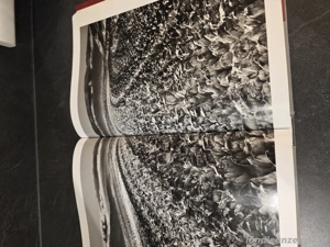 Buch Genesis  Sebastiao Salgado Bild 2