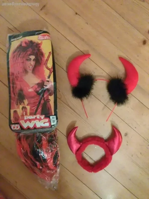 Faschingsutensilien Bild 3