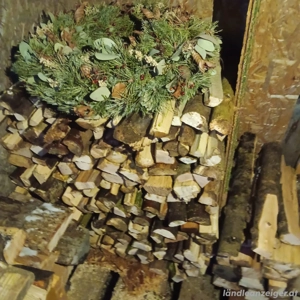 Brennholz  Bild 2