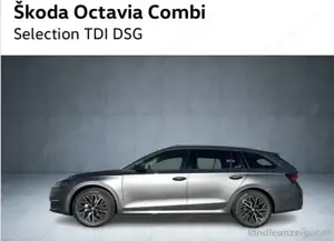 Skoda Octavia Bild 4