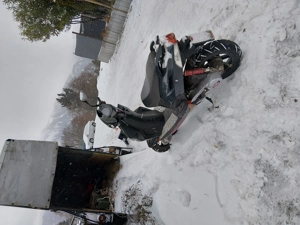 Roller Moped zu verkaufen  Bild 3