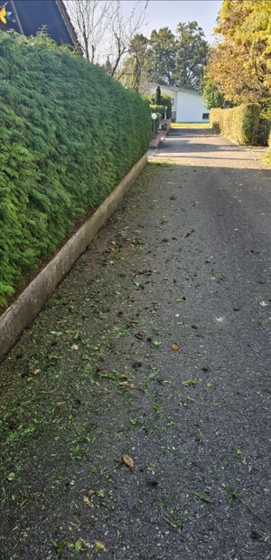 Benötigen Sie Hilfe rund ums Haus oder Garten? Bild 8