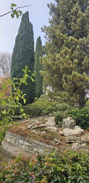 Benötigen Sie Hilfe rund ums Haus oder Garten? Bild 9