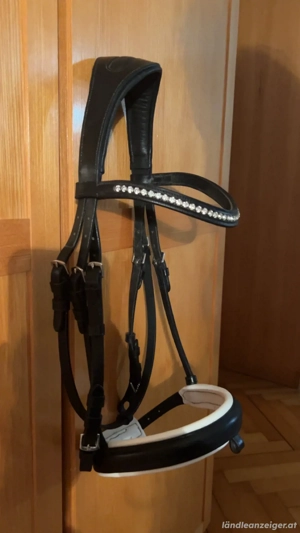 Trense mit Zügel zu verkaufen  Bild 2