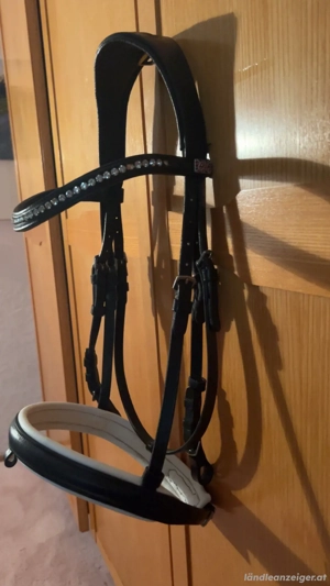 Trense mit Zügel zu verkaufen  Bild 3