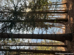 M suche bj hj *diskret*