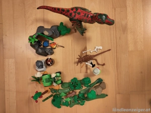 Dinopark Playmobil 