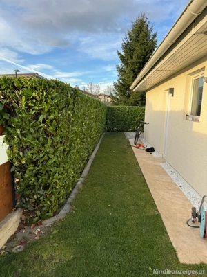 Hausmeisterservice Bild 4