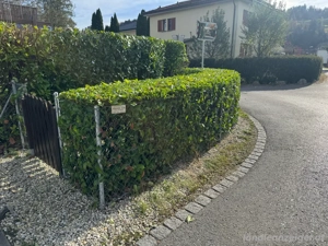 Hausmeisterservice Bild 3