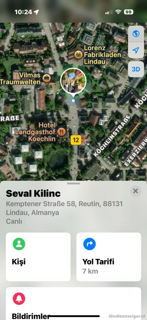 Holz-und Kohleofen Bild 5