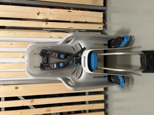 Thule Fahrradkindersitz