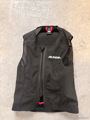 Alpina Rückenprotektor 116 Bild 3