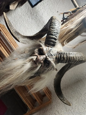 Krampus, Perchten, Holzmaske Bild 4