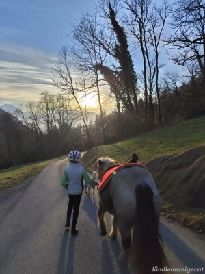 Liebe Ponystute Bild 2