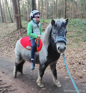 Liebe Ponystute Bild 3