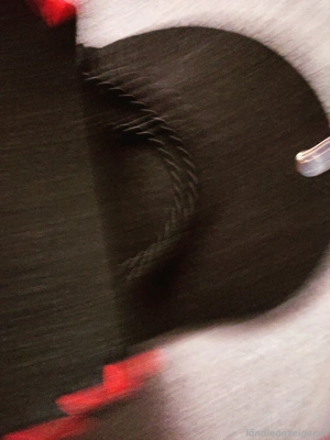 Trachtentäschchen Bild 2