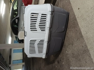 Günstig Hundeboxen Bild 2