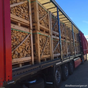 Trockenes Brennholz und von Qualität Bild 2