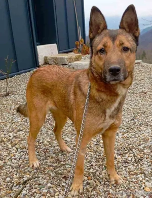 Trish freut sich auf IHRE Menschen Bild 4