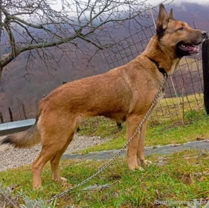 Trish freut sich auf IHRE Menschen Bild 3