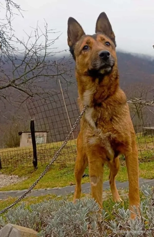 Trish freut sich auf IHRE Menschen Bild 2