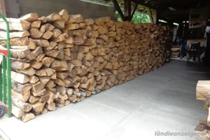 Brennholz. Bild 5