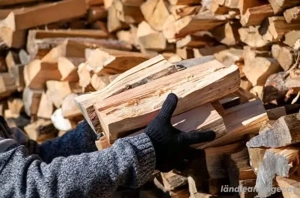 Brennholz, gut getrocknet, 50   pro Ster. Bild 2