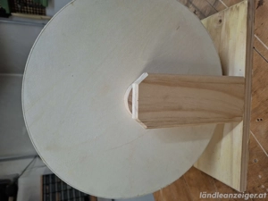 Kleintierlaufrad Bild 2