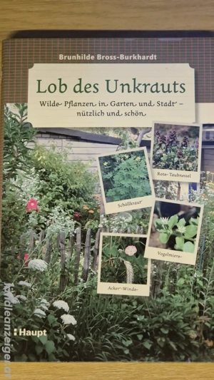 Diverse Bücher alle wie Neu Bild 3