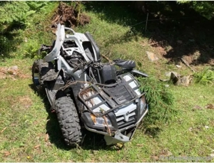 Suche Quads   ATV von Top bis defekt oder auch Unfall Bild 2
