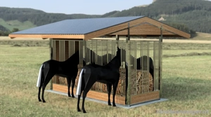 Pferdebox Stallfront kaufen - Boxenfront für Pferdestall  Bild 10