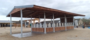 Innenstall & Stallfronten - Pferdebox kaufen | Außenstall Bild 10