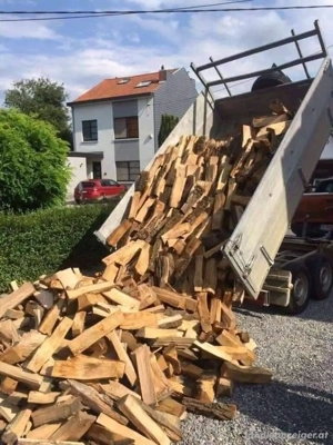 trockenes Brennholz Bild 2