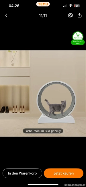 Katzenlaufrad neu! Bild 2