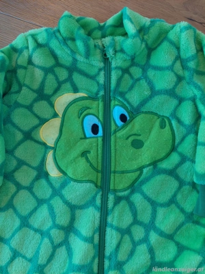 Faschingskostüm Drache Bild 2