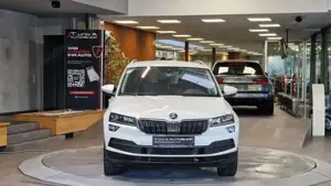 Skoda Karoq Bild 9