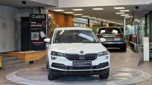 Skoda Karoq Bild 2