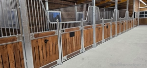 Pferdebox ideal für Pferde mit Stallfronten für Ihren Pferdestall bauen Bild 5
