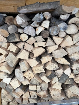 Brennholz 1,5 m3 Bild 2
