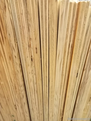 Multiplex Birke  platten  Neu  Bild 3