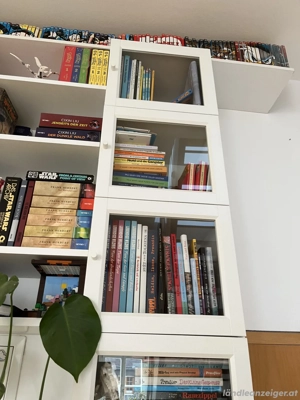 Billy Regale mit Glastüren und Aufsätze Bild 5