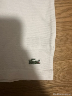 Lacoste grösse S Bild 3