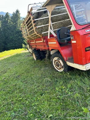 Landwirtschaftliche Geräte  Bild 4