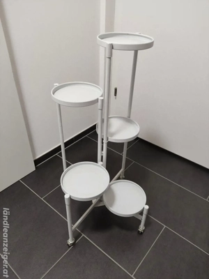 Blumen Ständer Pflanzen 